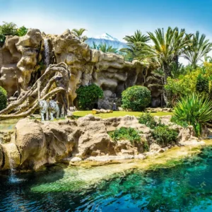 Loro Park i Siam Park – 2w1