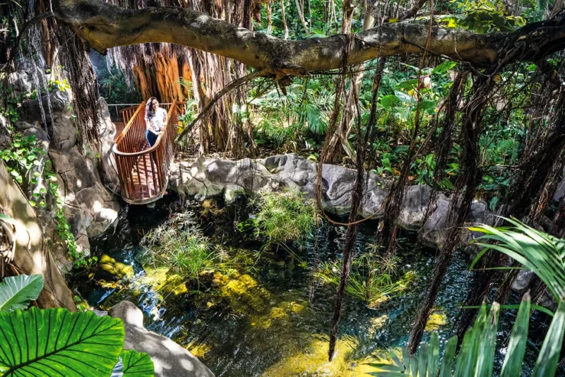 088f508f1766706f 088f508f1766706f