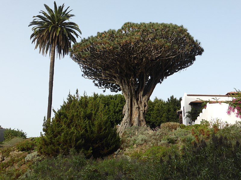 150f4c8e0fc1f30f8bb556aab7f26a95 150f4c8e0fc1f30f8bb556aab7f26a95