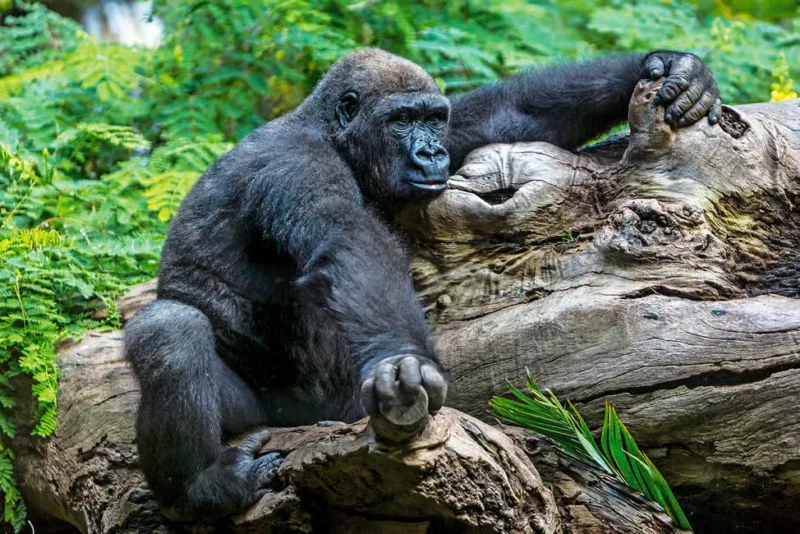 17a0d9e87d9373f7 17a0d9e87d9373f7