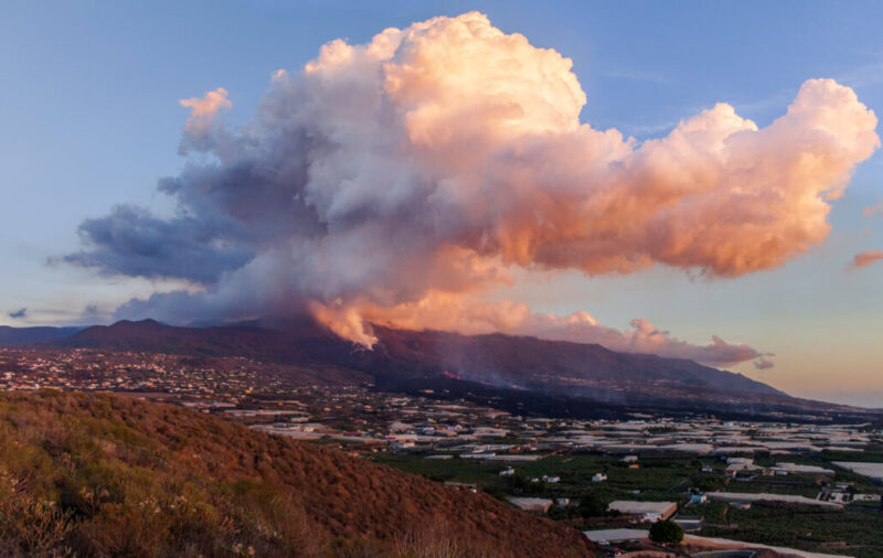 260191258_10159451638851465_4423861325642288534_n-1030x652 260191258_10159451638851465_4423861325642288534_n-1030x652