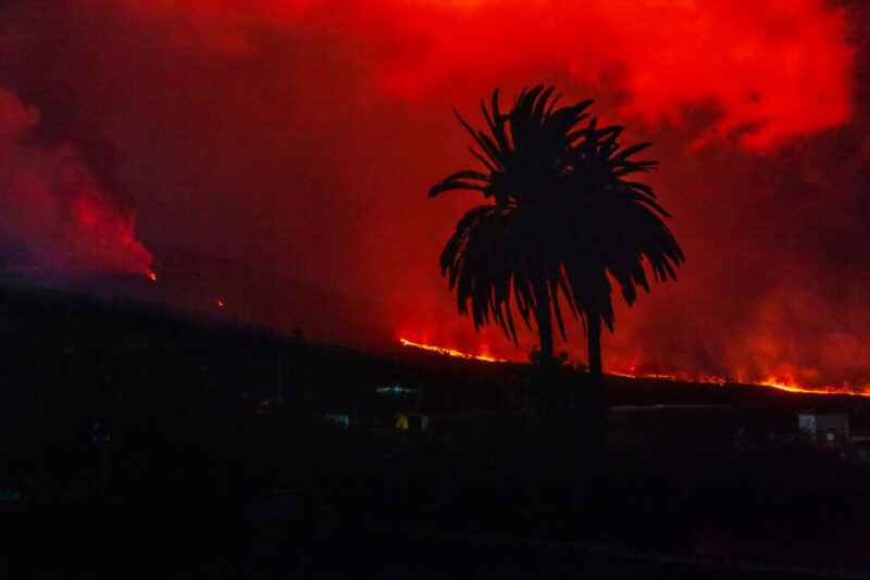 260241765_10159451641606465_7865931755613028720_n-1030x687 260241765_10159451641606465_7865931755613028720_n-1030x687