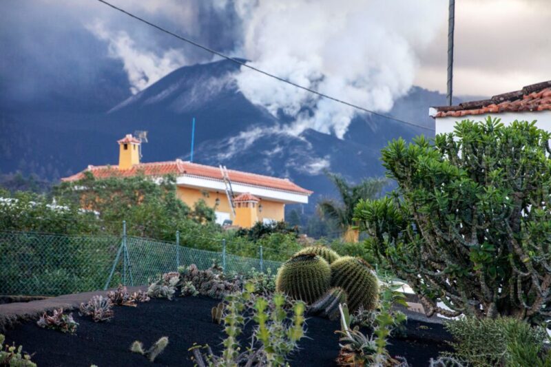 260264840_10159451636336465_4508024333154850720_n-1030x686 260264840_10159451636336465_4508024333154850720_n-1030x686