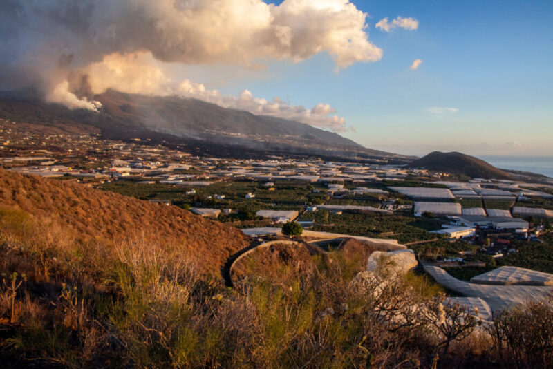 260313346_10159451653816465_9009279397886787992_n-1030x687 260313346_10159451653816465_9009279397886787992_n-1030x687