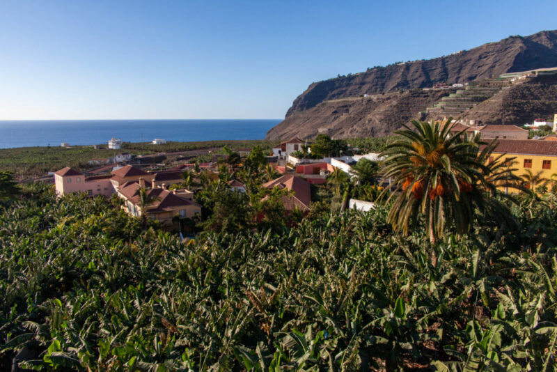 260450823_10159451638661465_5640636836234225520_n-1030x687 260450823_10159451638661465_5640636836234225520_n-1030x687