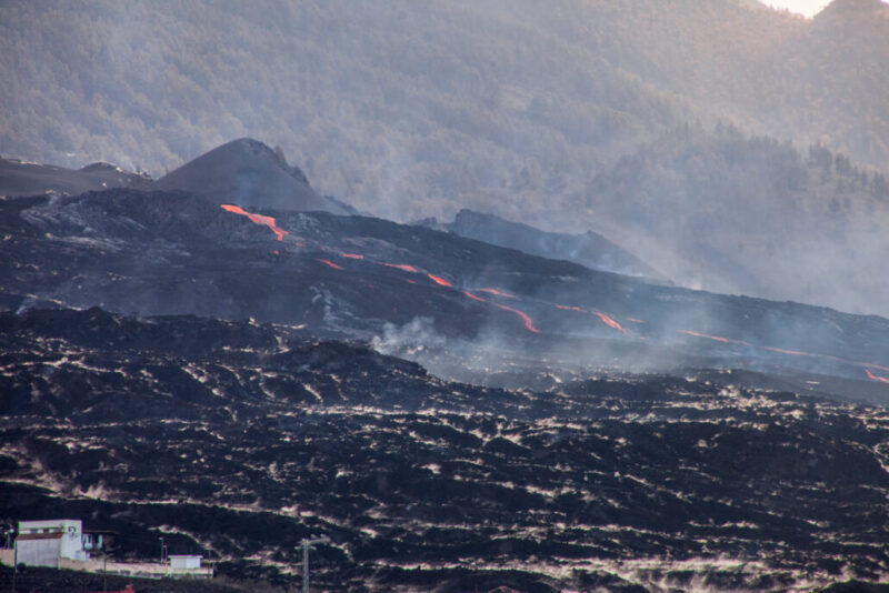 260514778_10159451635791465_7729810776024325348_n-1030x687 260514778_10159451635791465_7729810776024325348_n-1030x687