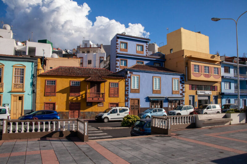 260559502_10159451636501465_6958884379134689324_n-1030x687 260559502_10159451636501465_6958884379134689324_n-1030x687