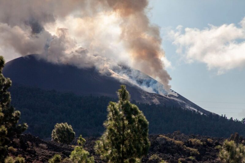 260584292_10159451635691465_7477853361654820319_n-1030x686 260584292_10159451635691465_7477853361654820319_n-1030x686