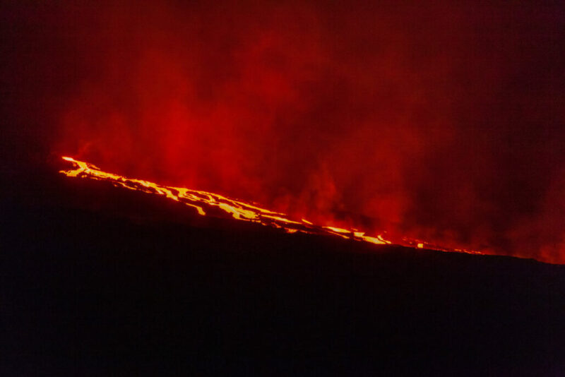 260749052_10159451641536465_7040859975883866601_n-1030x687 260749052_10159451641536465_7040859975883866601_n-1030x687