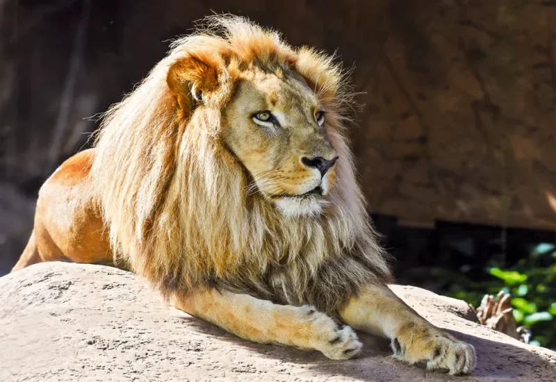 36810085152c06ed 36810085152c06ed