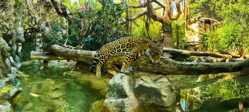 4ff4d01b3cc834ae 4ff4d01b3cc834ae