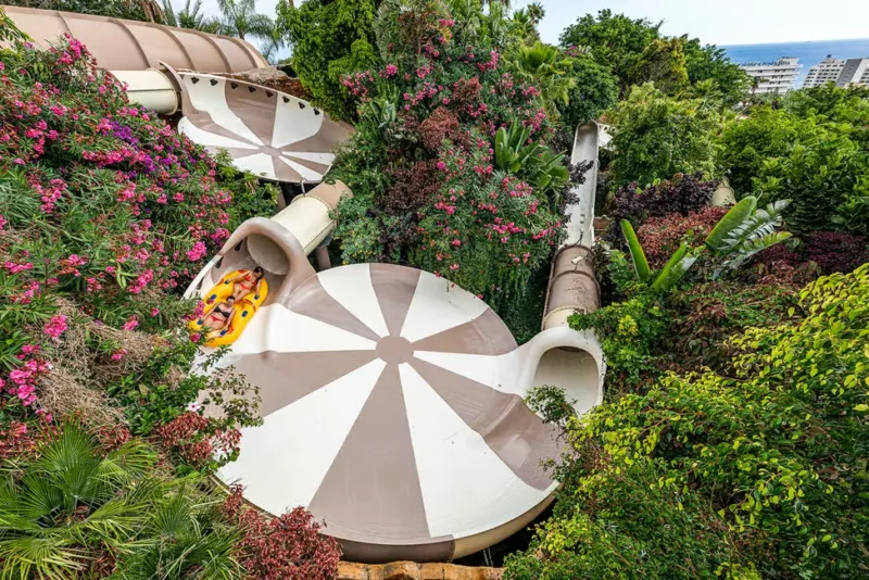 76884f1d85bb9c88 76884f1d85bb9c88