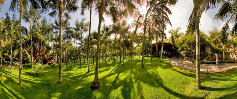 94760dcca5649a2f 94760dcca5649a2f