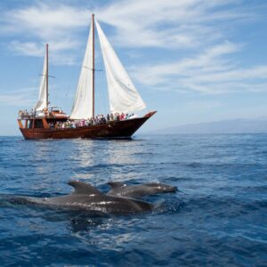 SHOGUN – Rejs wzdłuż południa Teneryfy