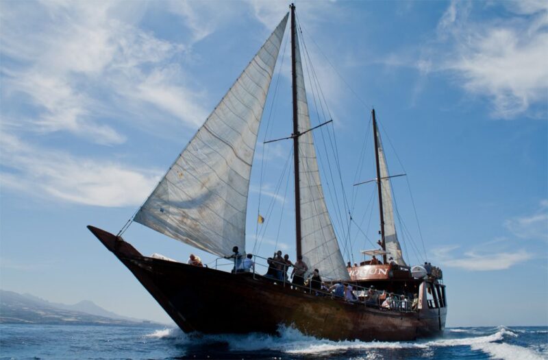 IMG_05235-1030x676 IMG_05235-1030x676