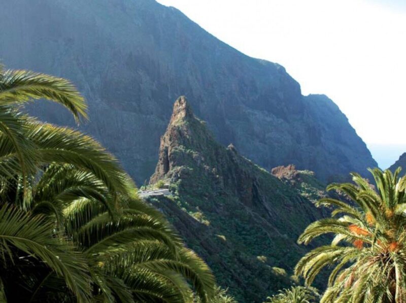 MASCA-1030x769G-1030x769 MASCA-1030x769G-1030x769