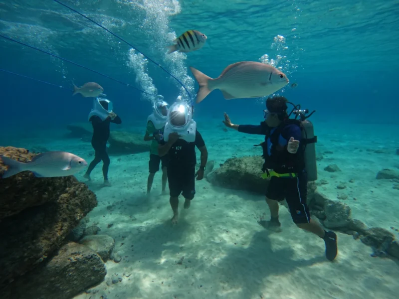 WhatsApp Image 2025-08-12 at 13.39.43 (1) WhatsApp Image 2025-08-12 at 13.39.43 (1)