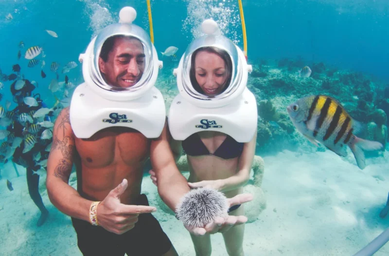 WhatsApp Image 2025-08-12 at 13.39.43 (10) WhatsApp Image 2025-08-12 at 13.39.43 (10)