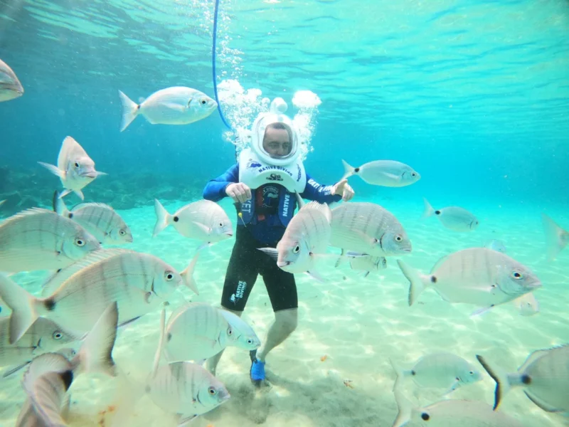 WhatsApp Image 2025-08-12 at 13.39.43 (3) WhatsApp Image 2025-08-12 at 13.39.43 (3)