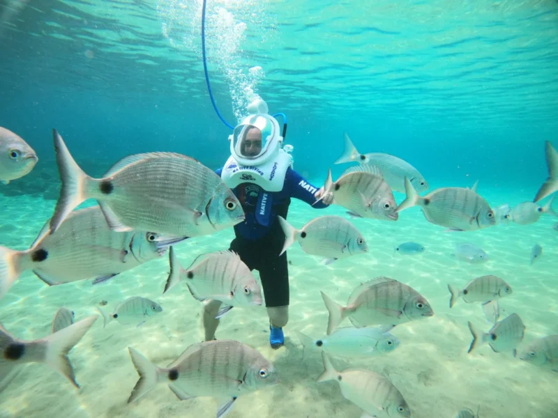 WhatsApp Image 2025-08-12 at 13.39.43 (4) WhatsApp Image 2025-08-12 at 13.39.43 (4)