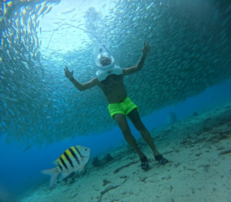 WhatsApp Image 2025-08-12 at 13.39.43 WhatsApp Image 2025-08-12 at 13.39.43