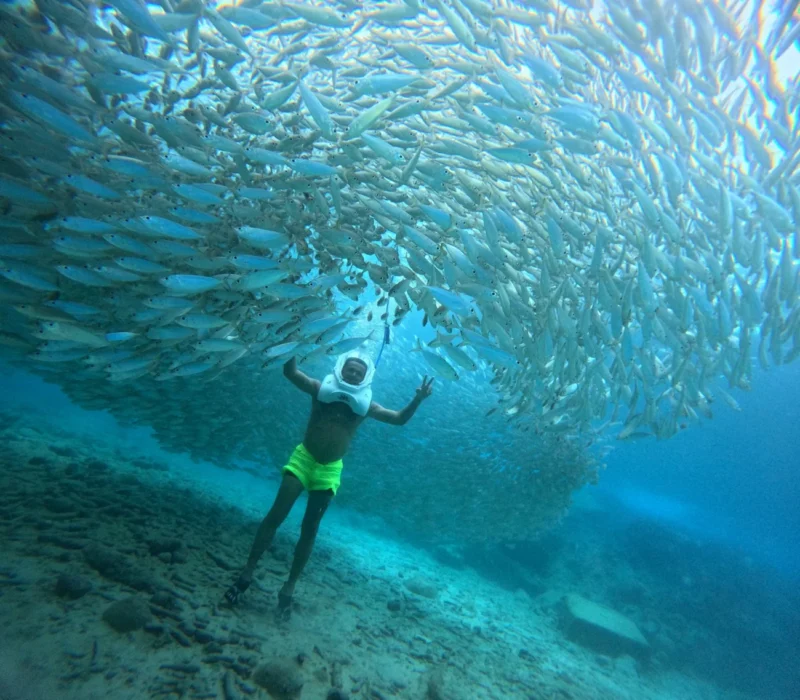 WhatsApp Image 2025-08-12 at 13.39.44 (2) WhatsApp Image 2025-08-12 at 13.39.44 (2)