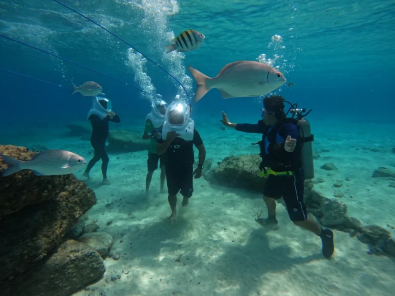 WhatsApp Image 2025-08-12 at 13.39.44 (3) WhatsApp Image 2025-08-12 at 13.39.44 (3)