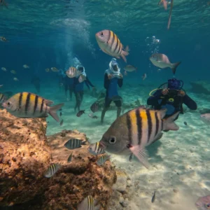 Sea Trek - Spacer po dnie oceanu