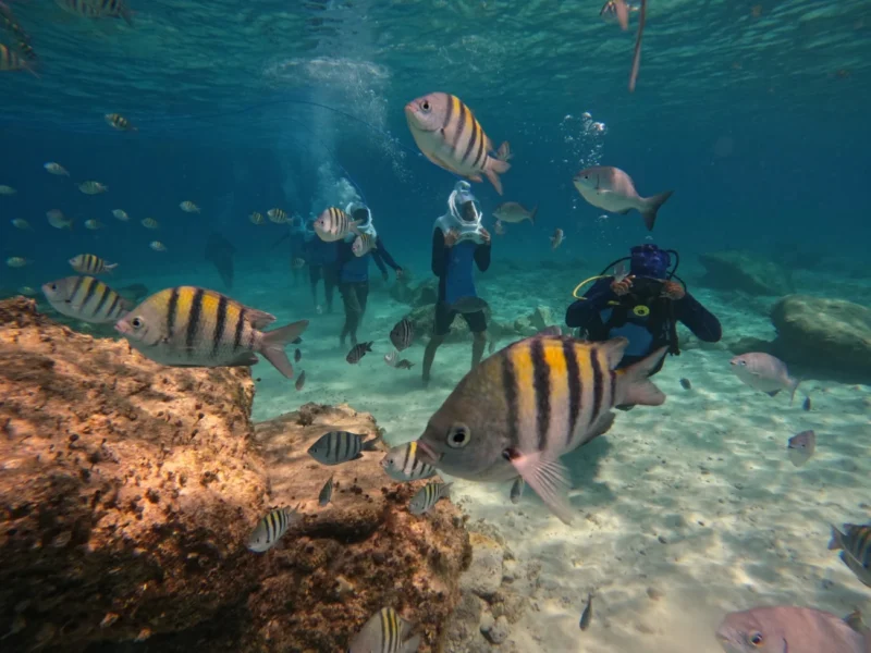 WhatsApp Image 2025-08-12 at 13.39.44 (4) WhatsApp Image 2025-08-12 at 13.39.44 (4)