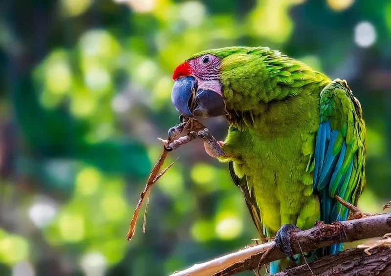 b04798a85eb77f34 b04798a85eb77f34