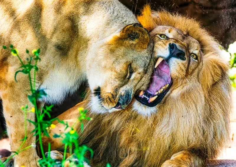 eab67a6b6dcf27b5 eab67a6b6dcf27b5