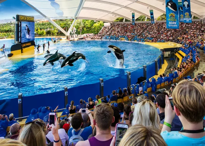 fafc8f510eb29e89 fafc8f510eb29e89