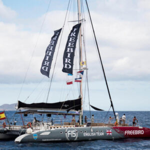 KATAMARAN FREEBIRD - Niezapomniany rejs na oglądanie delfinów