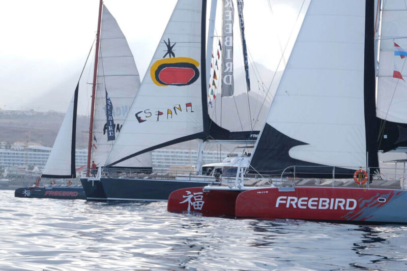 freebird-catamarans-tenerife77-1030x686 freebird-catamarans-tenerife77-1030x686