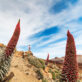parque-nacional-teide-tajinastes-1