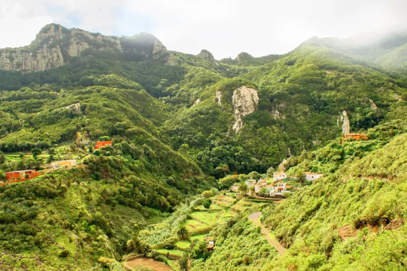 wycieczka-faktultatywna-skarby-polnocy-rozne-oblicza-teneryfy-359-122357 wycieczka-faktultatywna-skarby-polnocy-rozne-oblicza-teneryfy-359-122357