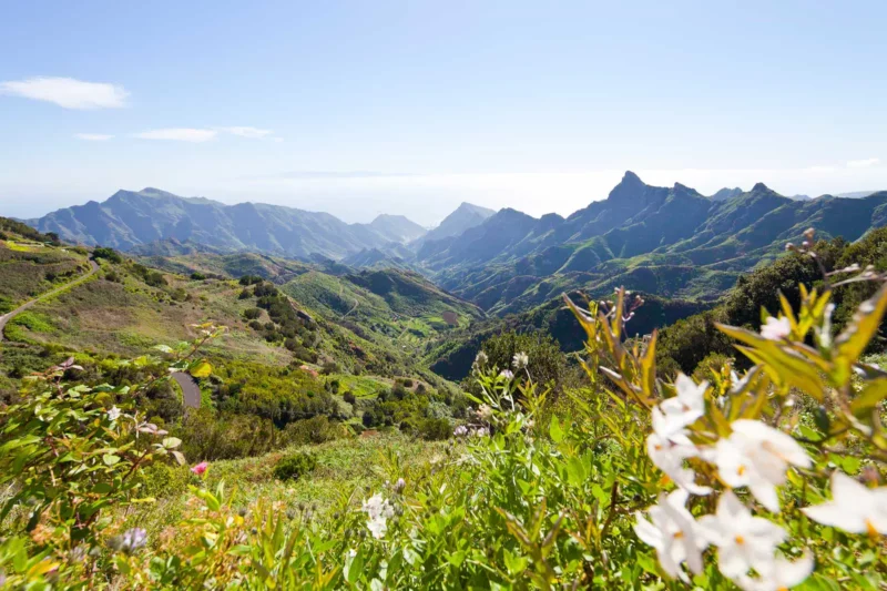 wycieczka-faktultatywna-skarby-polnocy-rozne-oblicza-teneryfy-359-81526 wycieczka-faktultatywna-skarby-polnocy-rozne-oblicza-teneryfy-359-81526