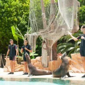 Jungle Park – bilet wstępu