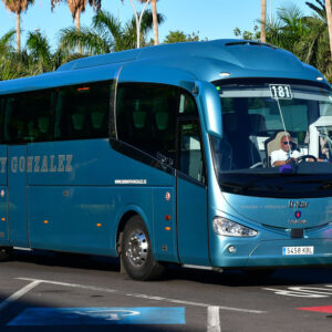 Transfer do Loro Park Bilet na przejazd do Loro Parku (N14)