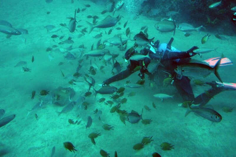 5.-SUB-SAF-TENERIFE-1030x684 5.-SUB-SAF-TENERIFE-1030x684