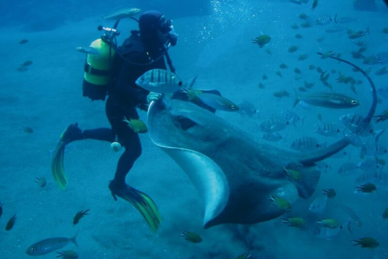 7.-SUB-SAF-TENERIFE-1030x687 7.-SUB-SAF-TENERIFE-1030x687