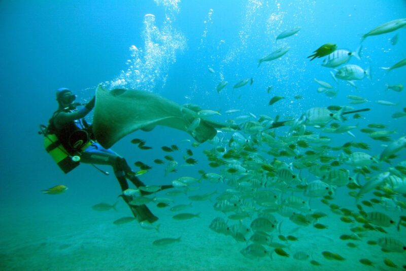 8.-SUB-SAF-TENERIFE-1030x687 8.-SUB-SAF-TENERIFE-1030x687