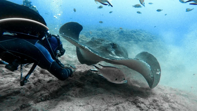 Copia de vlcsnap-2020-09-14-07h46m40s300 Copia de vlcsnap-2020-09-14-07h46m40s300