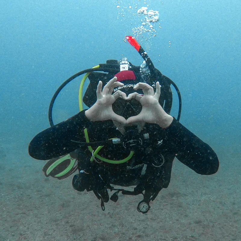 Copia de vlcsnap-2020-09-15-21h55m26s024 Copia de vlcsnap-2020-09-15-21h55m26s024