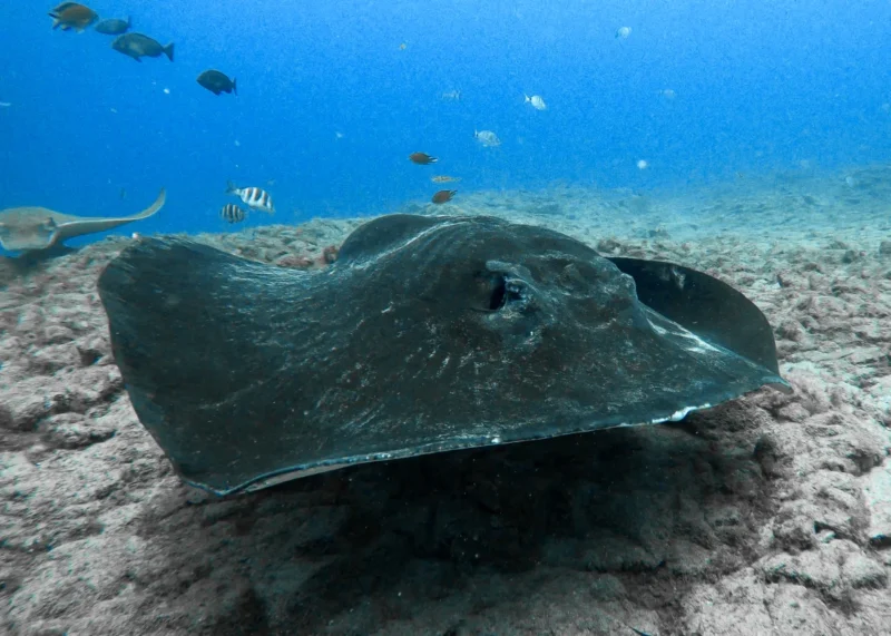 Copia de vlcsnap-2020-09-19-07h34m35s479 Copia de vlcsnap-2020-09-19-07h34m35s479