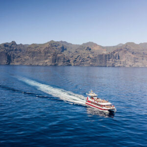 Rejs Royal Dolphin - Rejs ze szklanym dnem na oglądanie delfinów 2h Mini Cruise