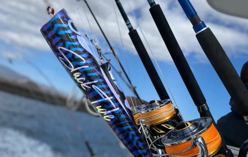 gofio-tuna-13 gofio-tuna-13