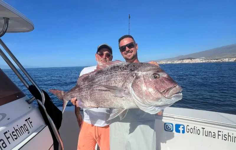 gofio-tuna-14 gofio-tuna-14