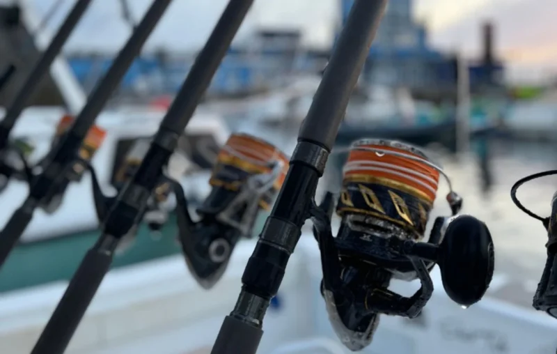 gofio-tuna-15 gofio-tuna-15