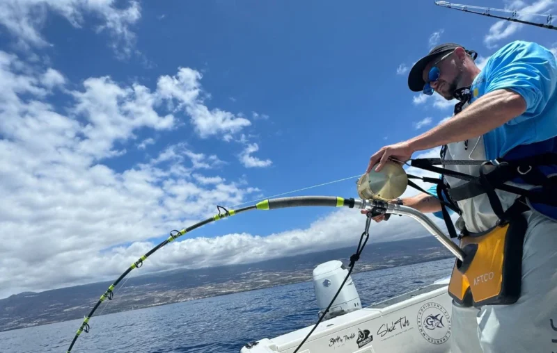 gofio-tuna-4 gofio-tuna-4